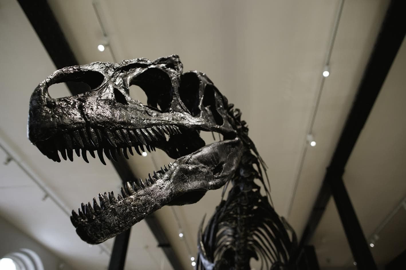Lapworth Museum of Geology