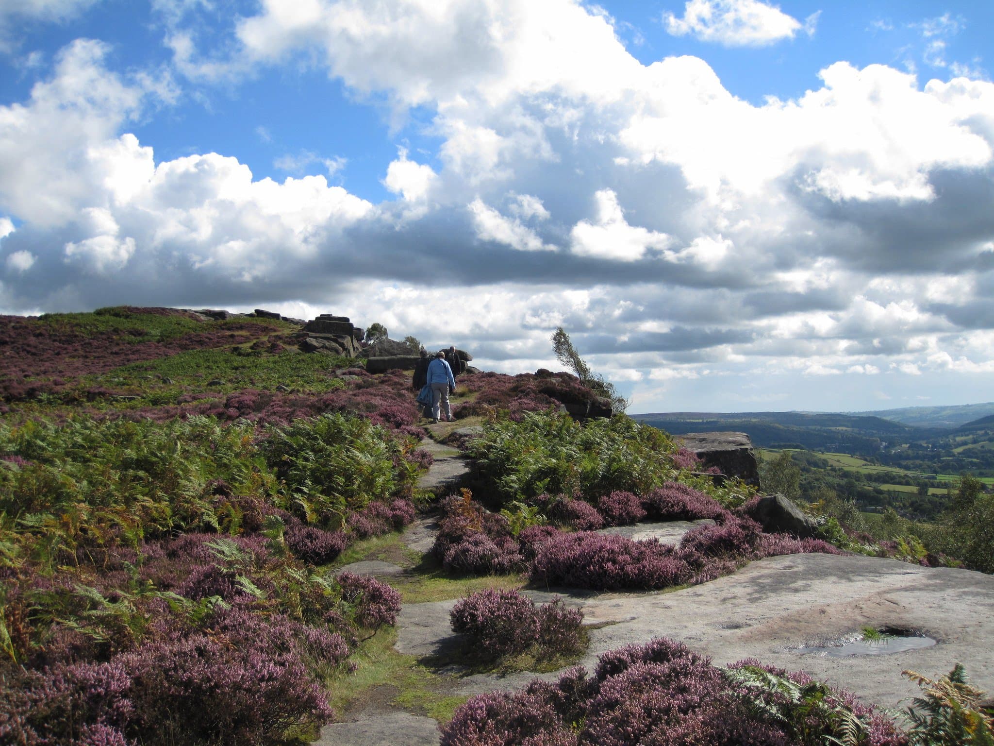 Eastern Moors - Photo