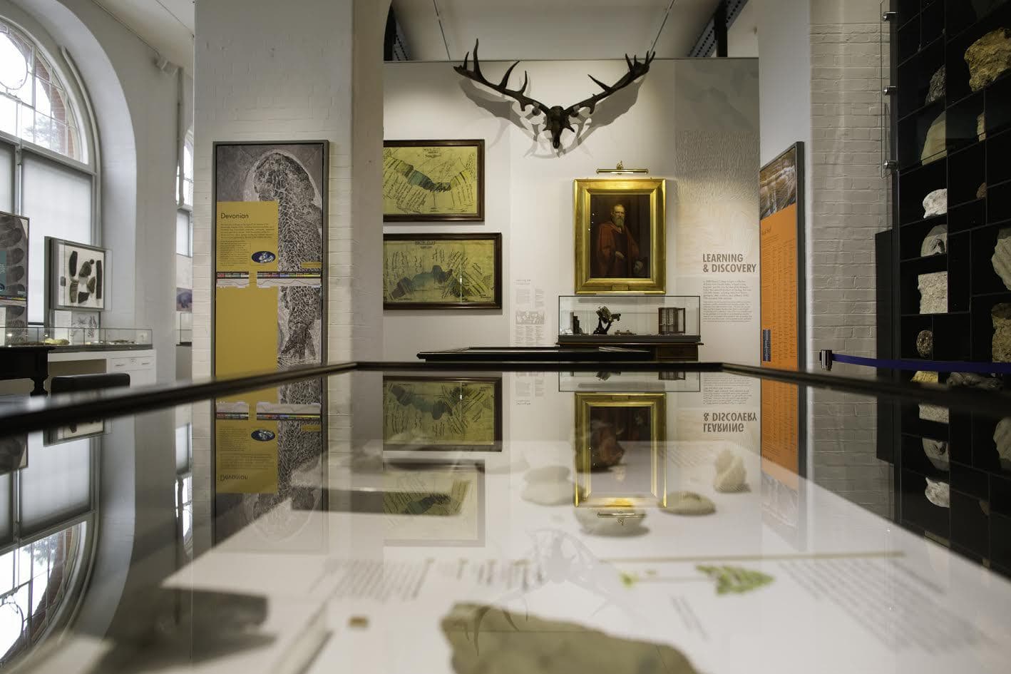 Lapworth Museum of Geology - Photo