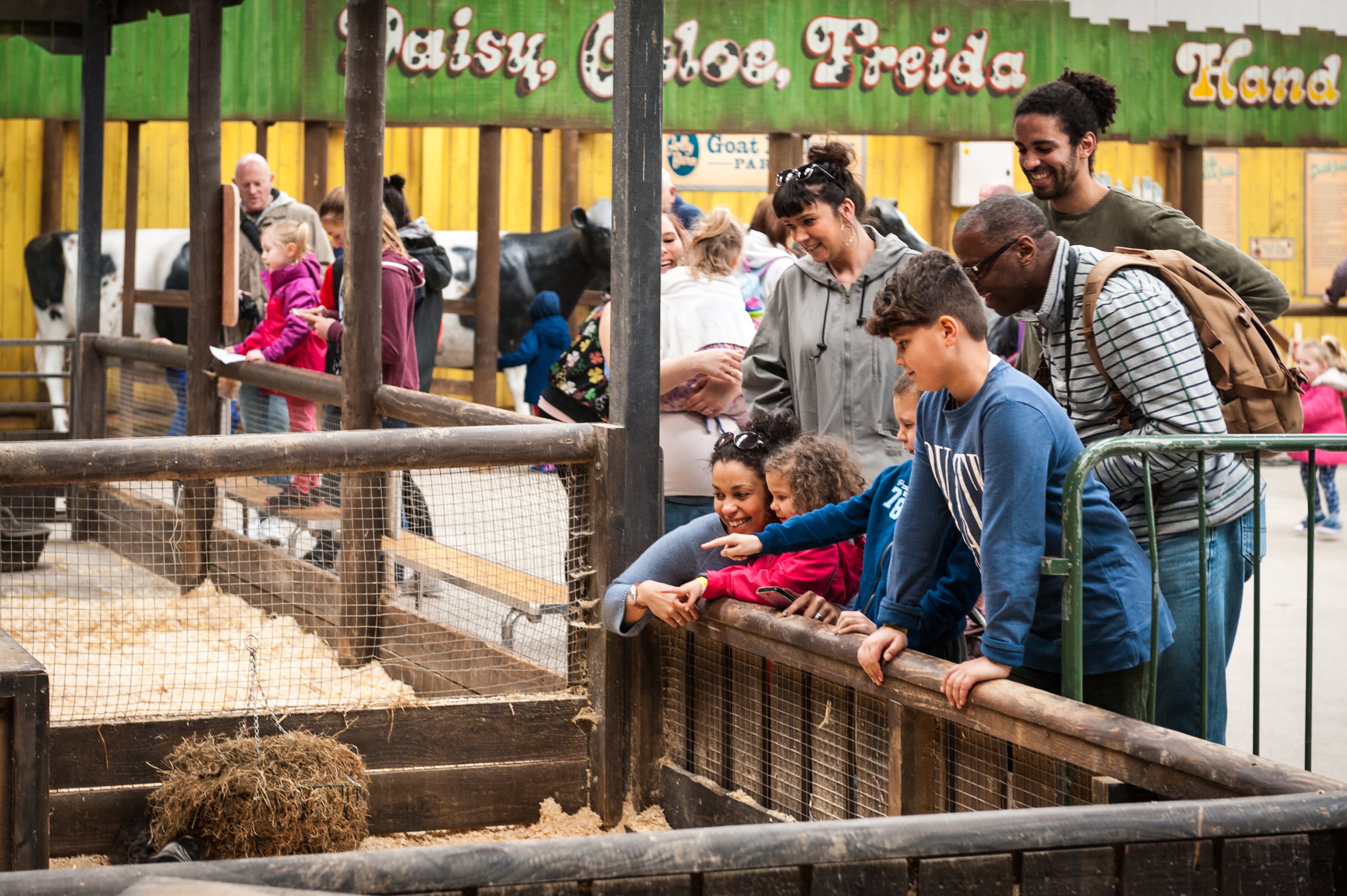 Folly Farm Adventure Park and Zoo - Photo