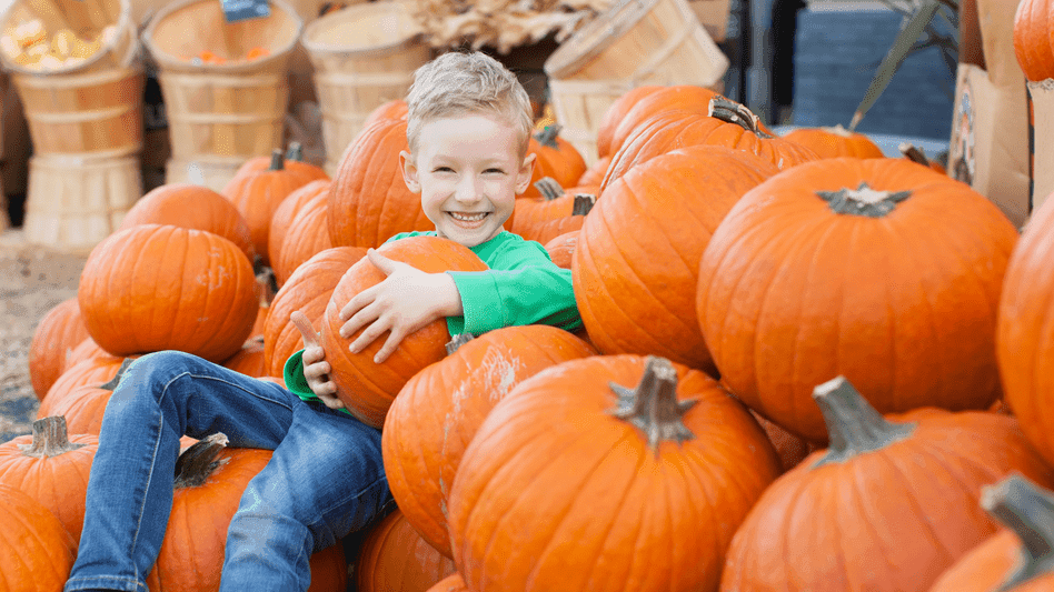 Cardiff Pumpkin Festival
