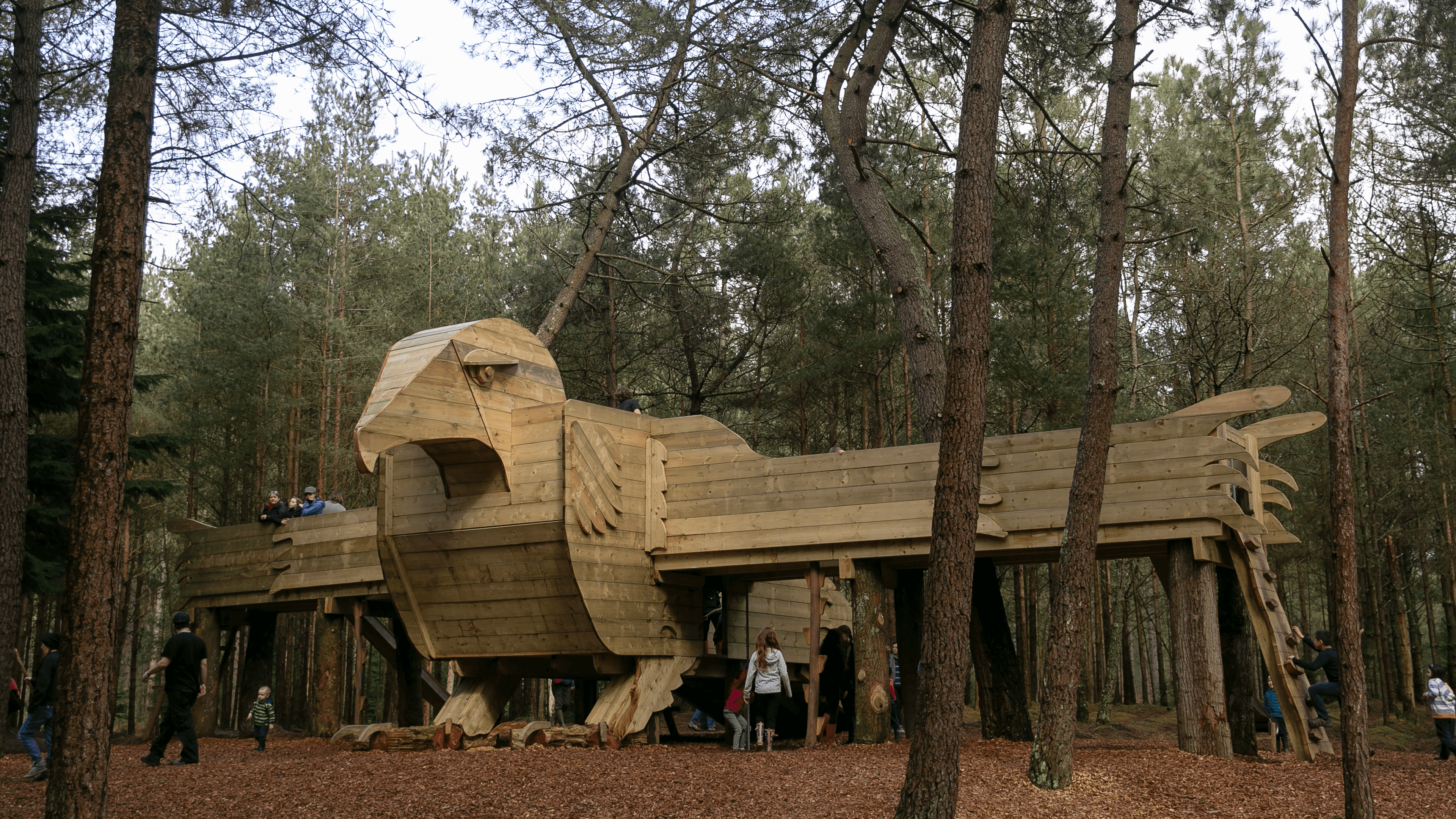 Moors Valley Country Park - Photo