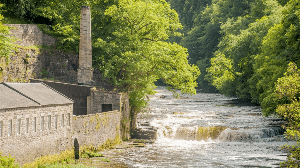 Falls of Clyde Wildlife Reserve