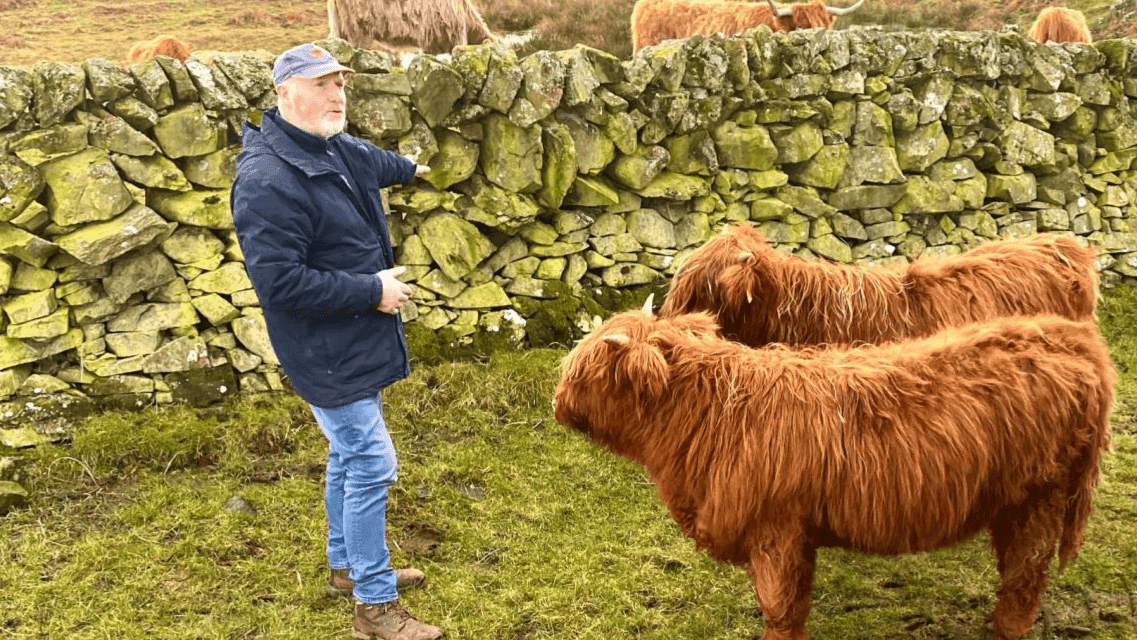 Kitchen Coos & Ewes - Photo