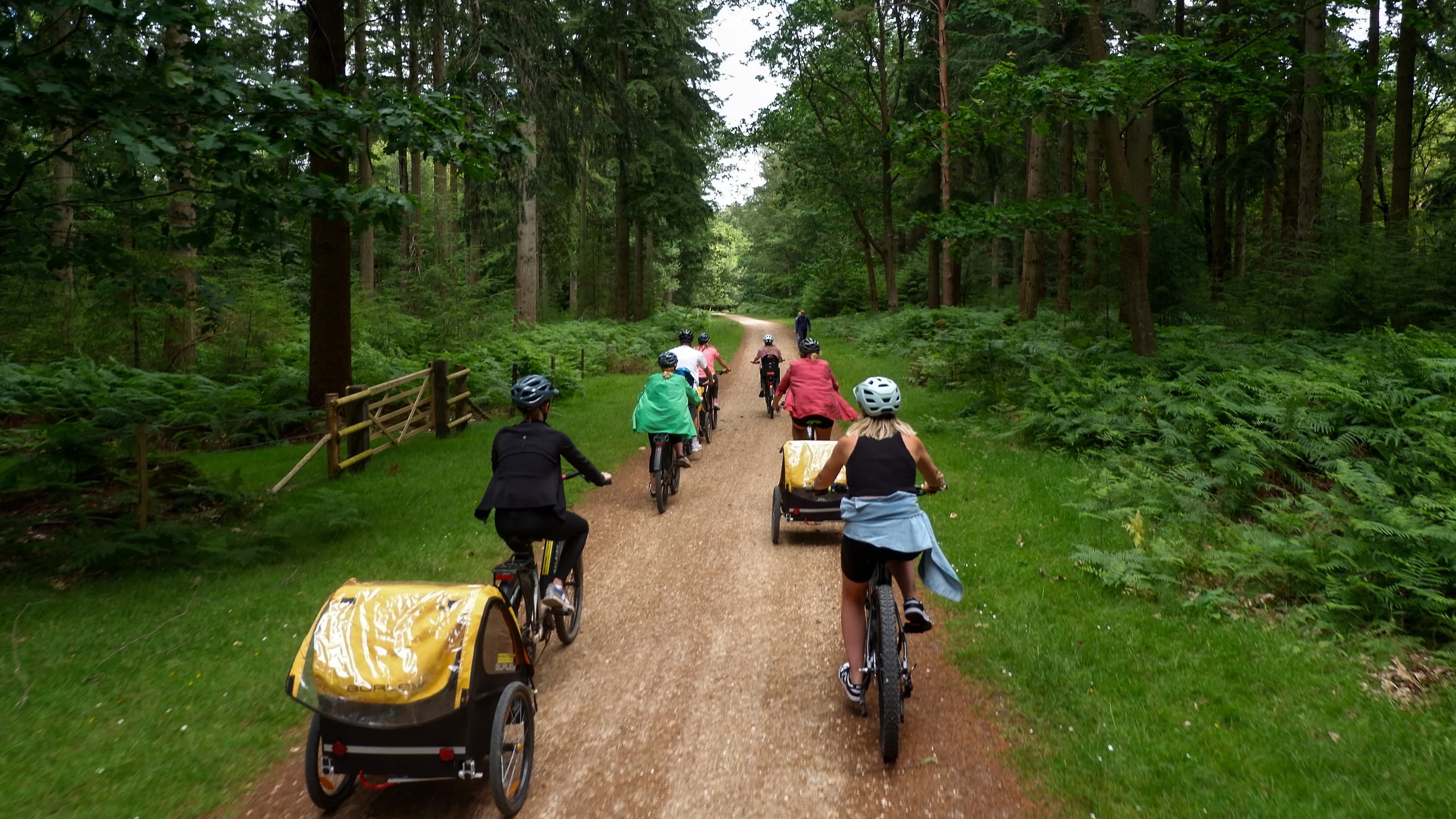 Forest Leisure Cycling - Photo