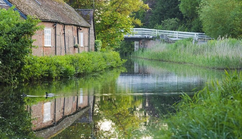 Dapdune Wharf - Photo