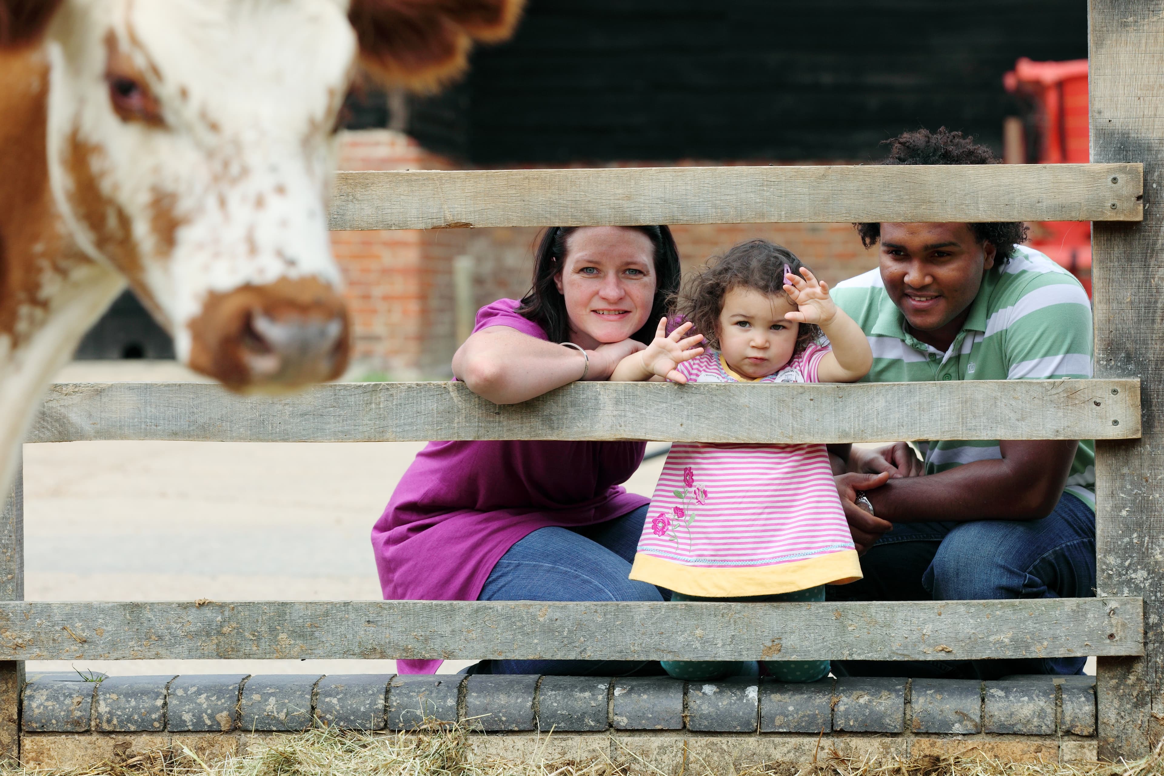 Wimpole Estate - Photo