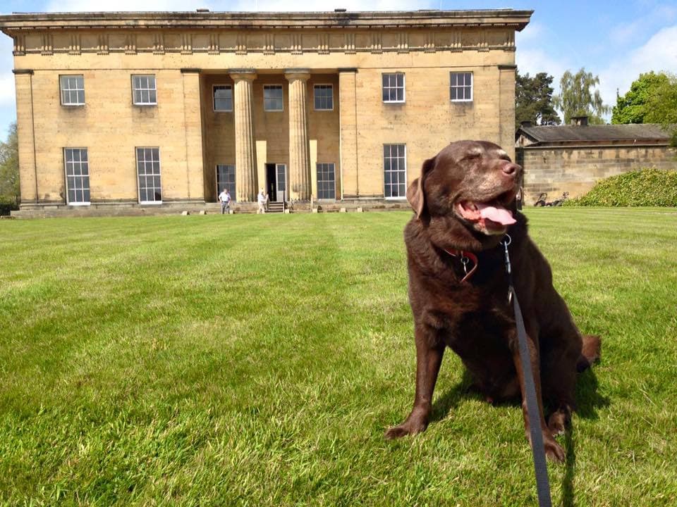 Belsay Hall Castle and Gardens - Photo