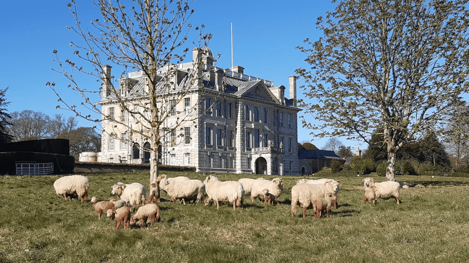 Kingston Lacy - Photo