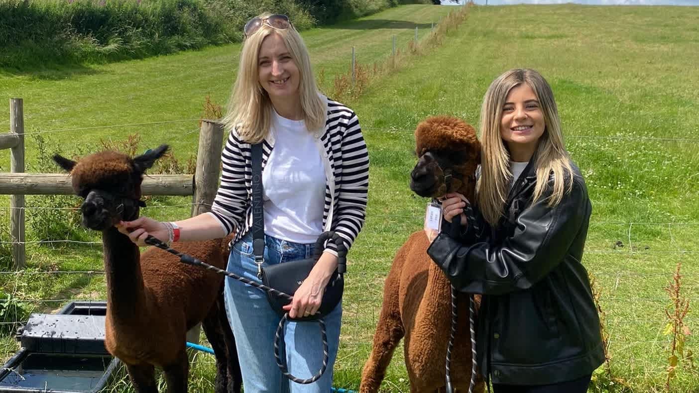 Charnwood Forest Alpacas