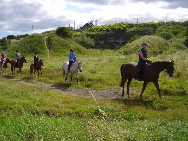 North Lizard Riding School - Photo