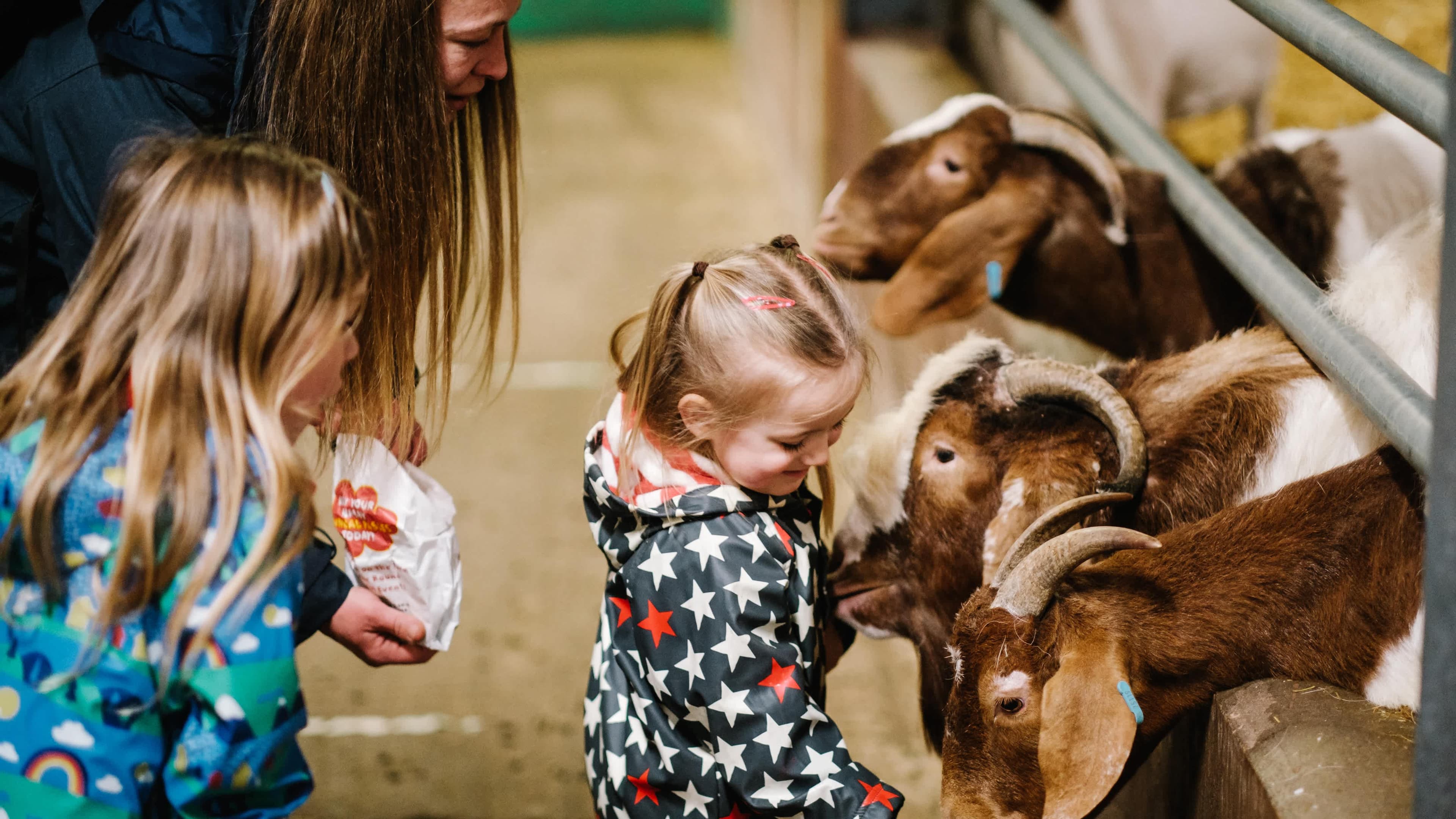 Walby Farm Park - Photo