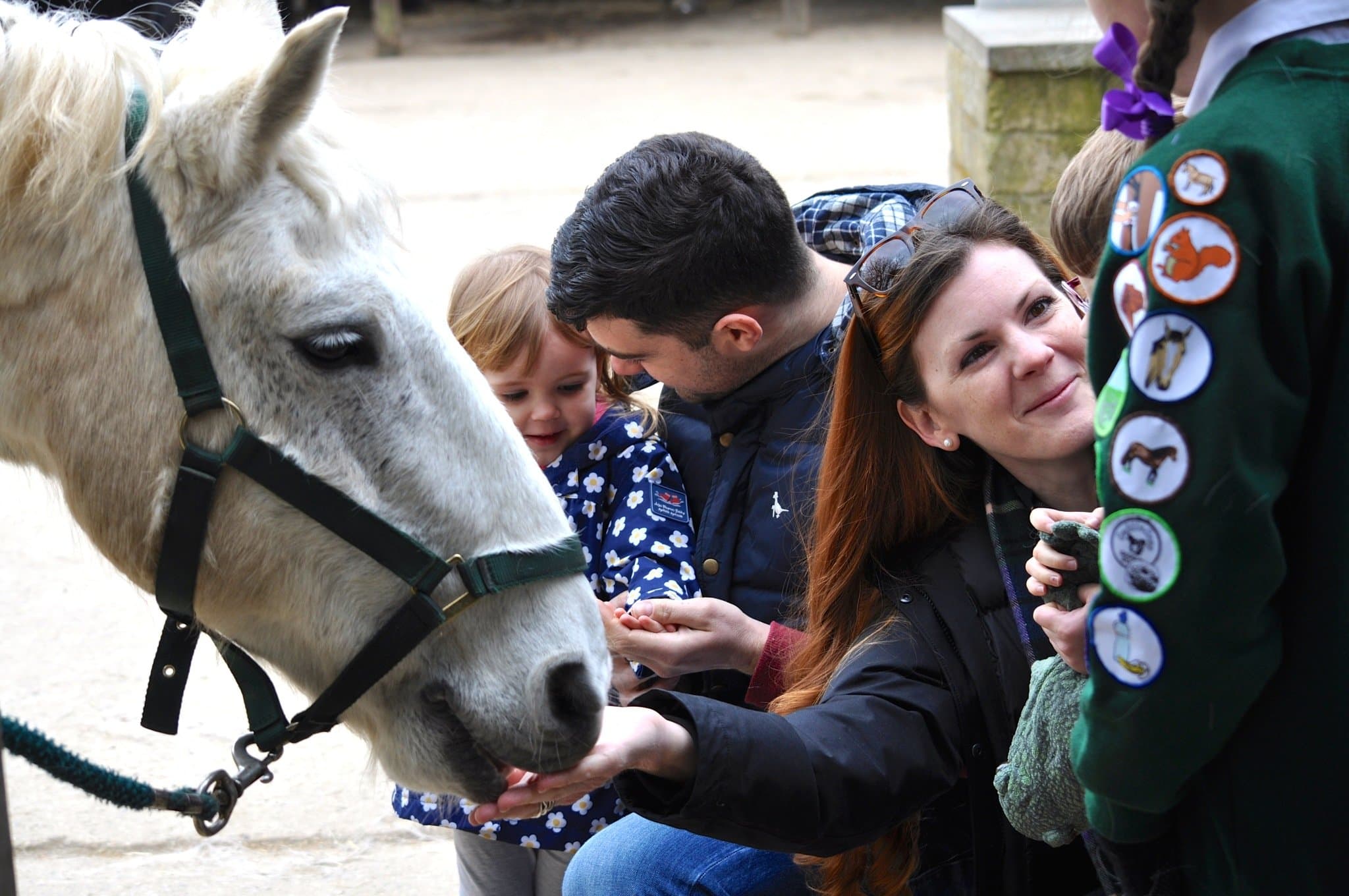 Lavant House Stables - Photo