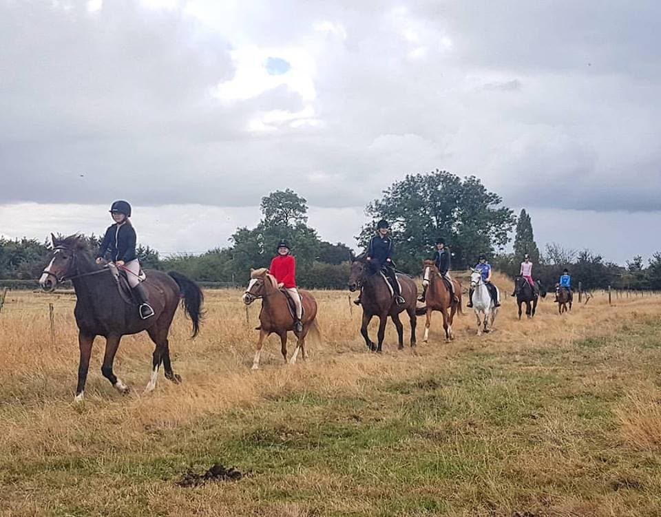 Aldborough Hall Equestrian Centre