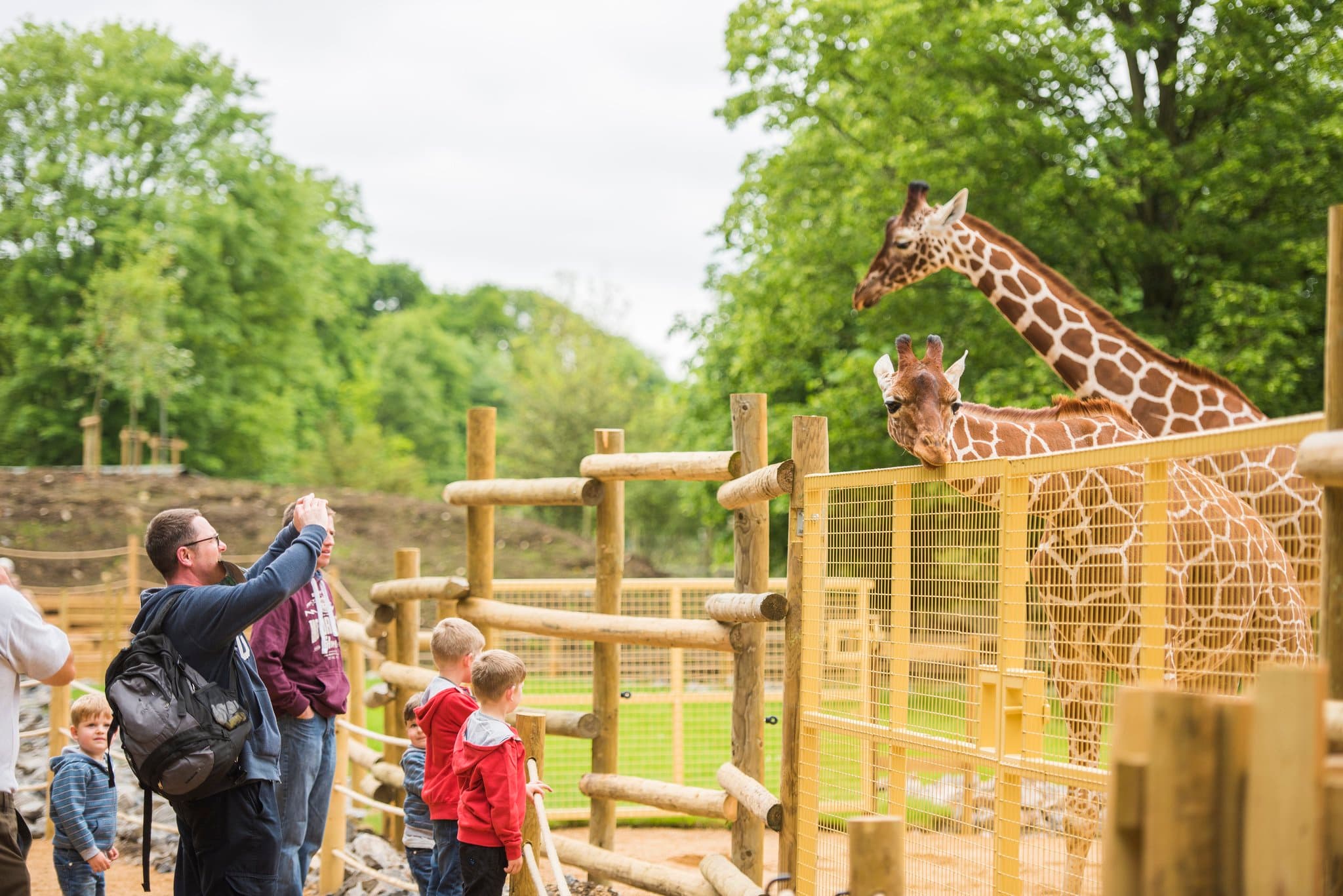Bristol Zoo Project (Previously Wild Place Project) - Photo 1