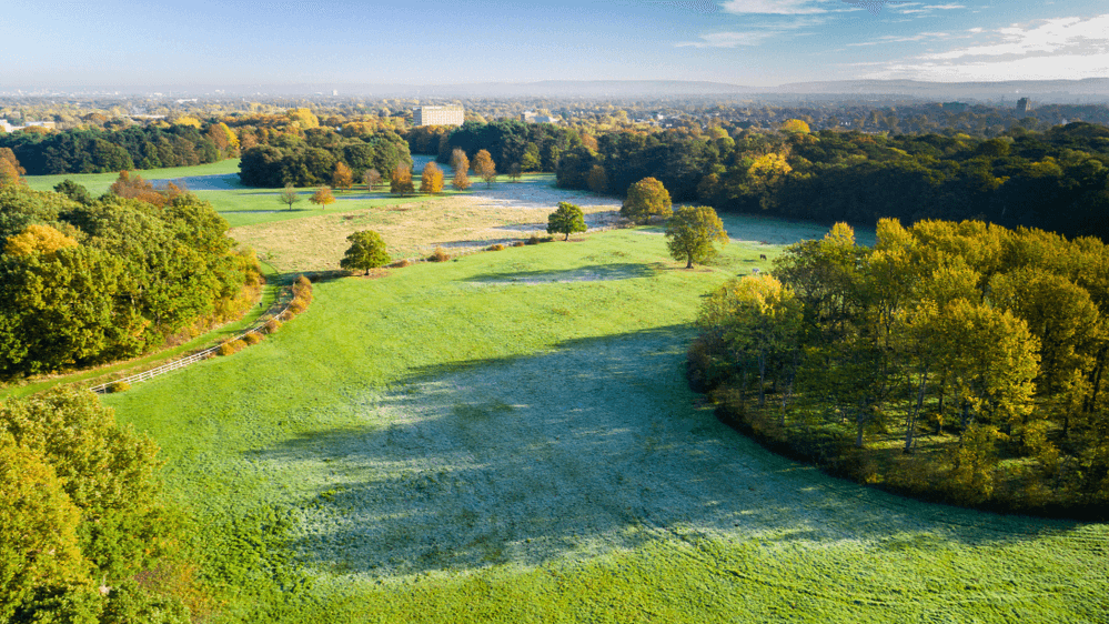 Wythenshawe Park - Photo