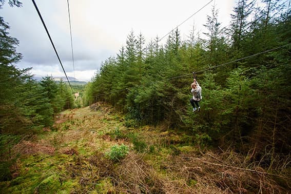 Go Ape Grizedale - Photo