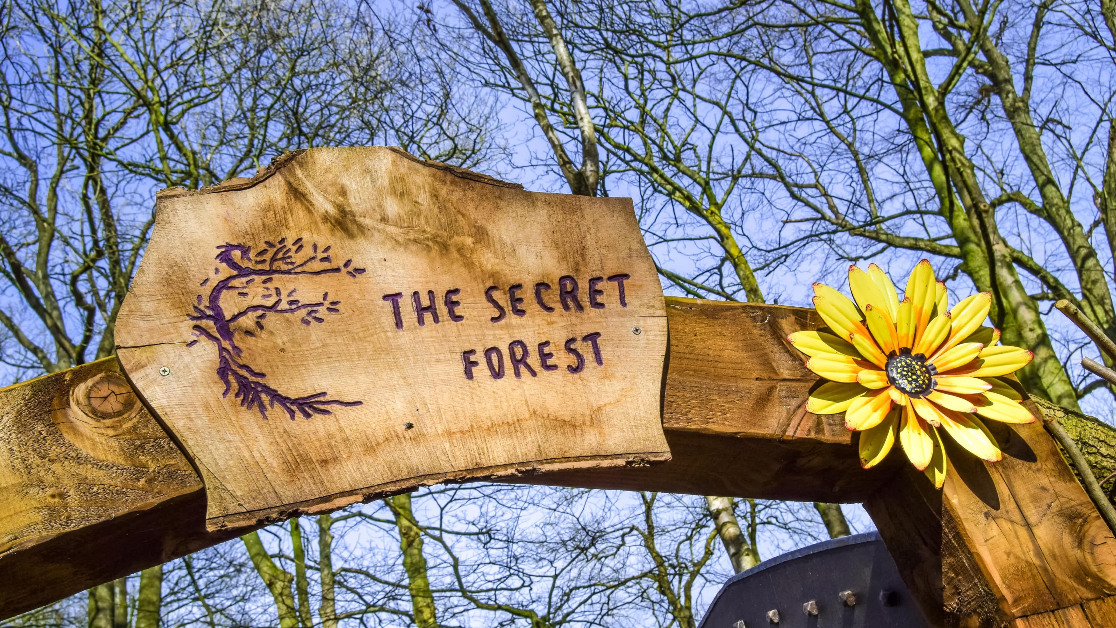 The Secret Forest - Photo 1