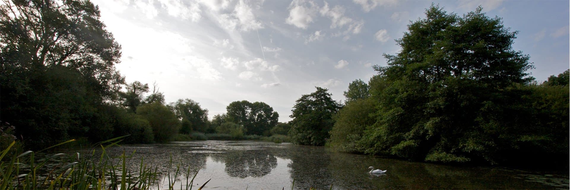 Woods Mill Nature Reserve - Photo 1