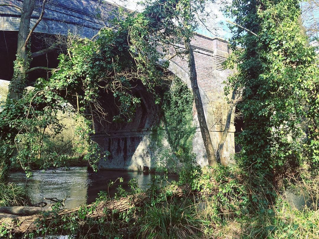 Denham Country Park - Photo