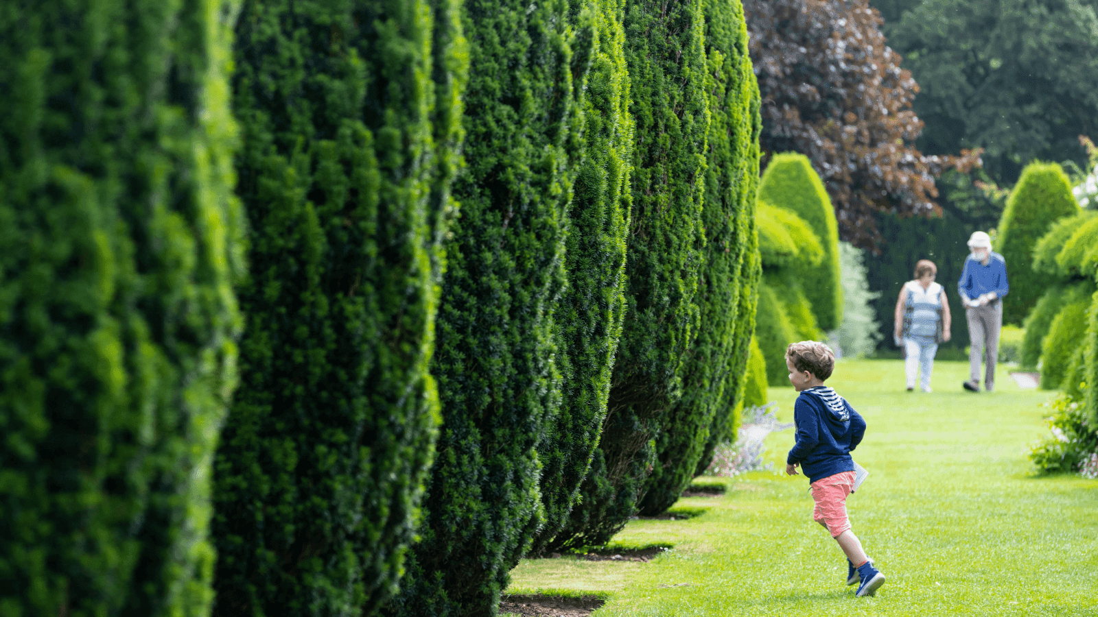 Hinton Ampner - Photo