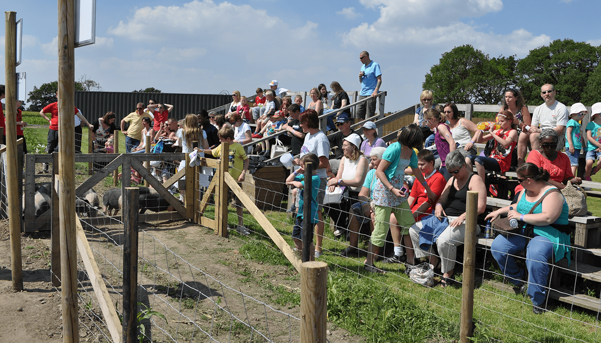 Apple Jack's Adventure Farm - Photo
