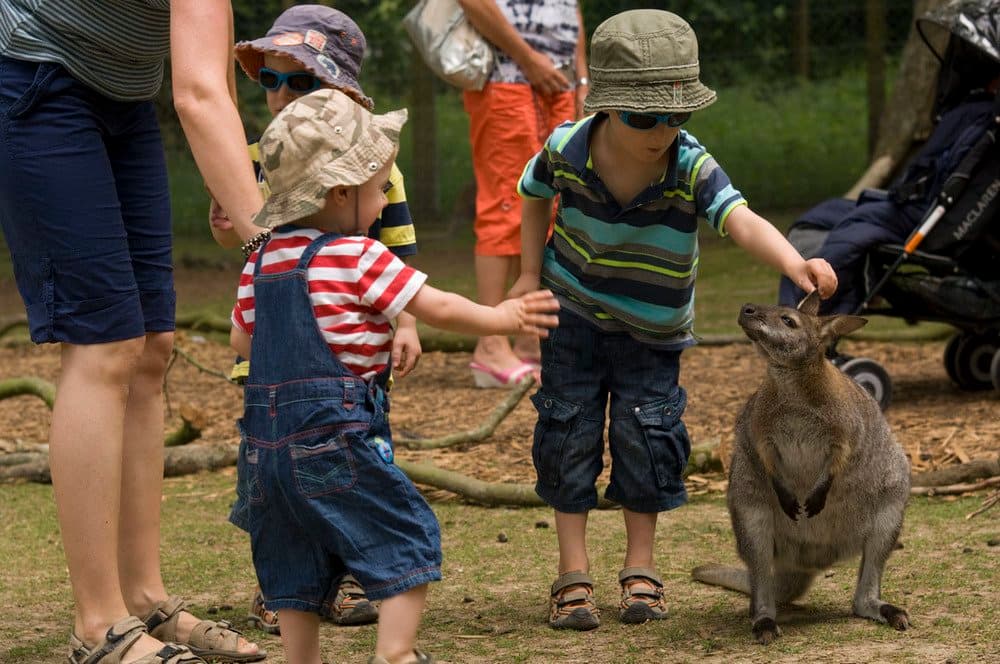 Manor Wildlife Park