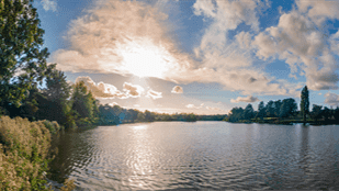 Arrow Country Park - Photo
