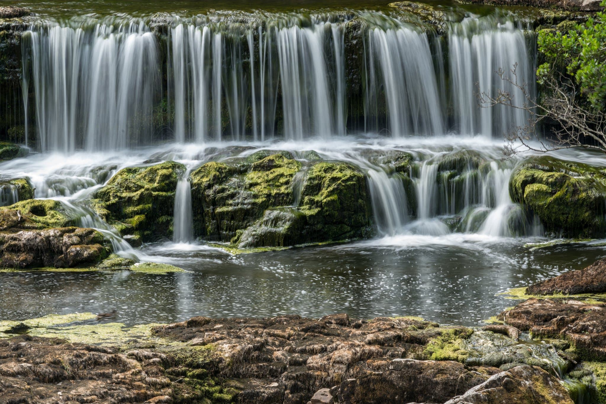 Aysgarth Falls - Photo