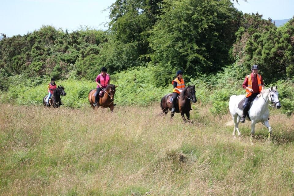 Bigland Hall Equestrian