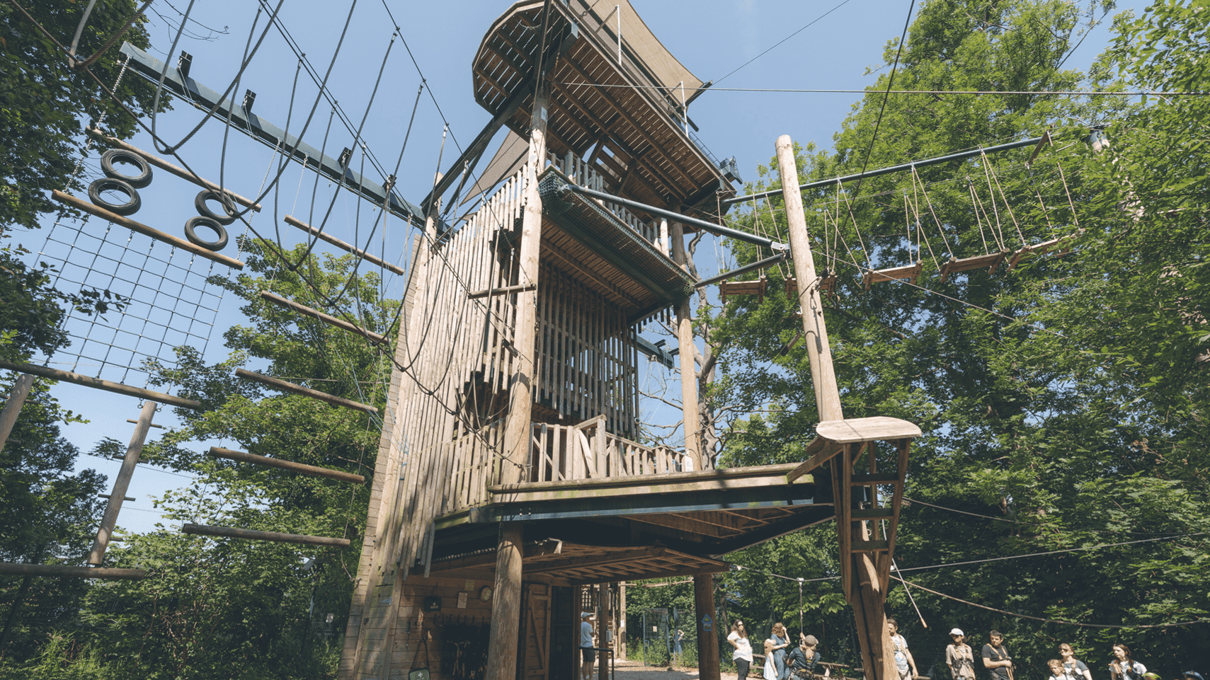 Wild Wood Adventure - Photo