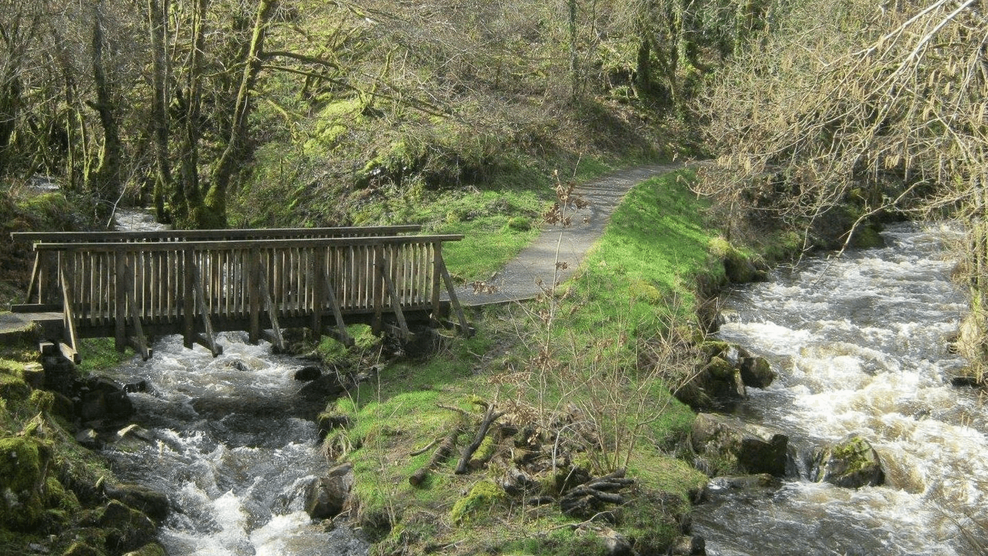 Garwnant Visitor Centre - Photo