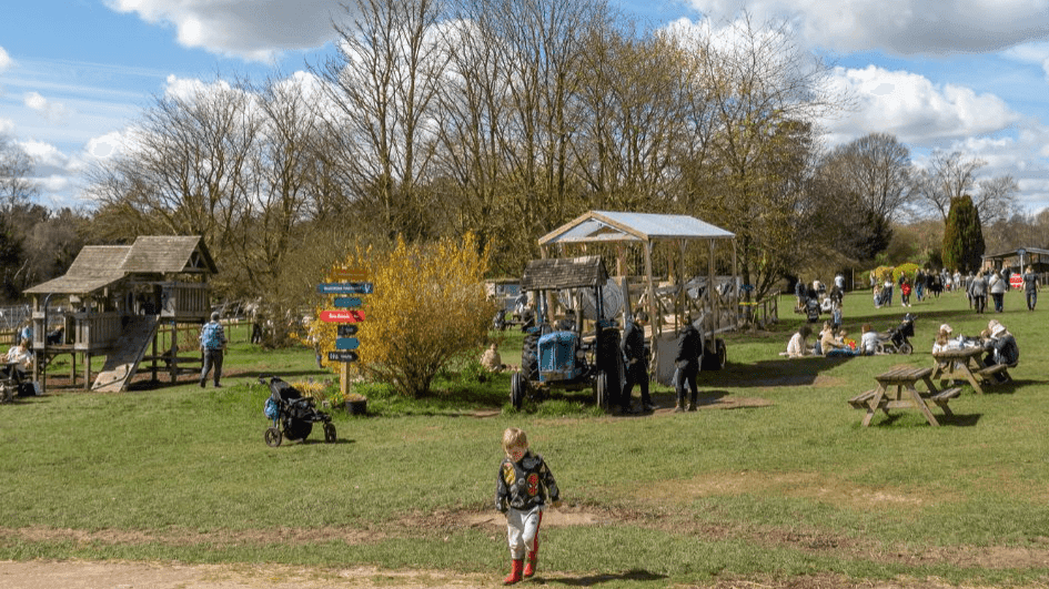 Cholderton Rare Breeds Farm