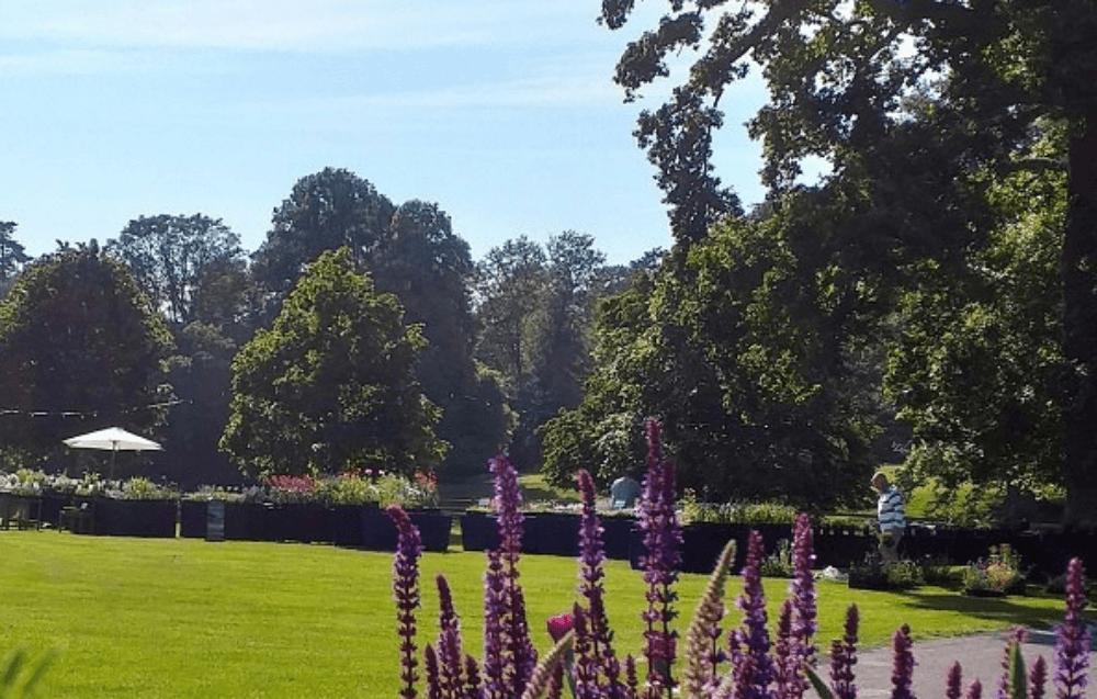 Arley Arboretum - Photo