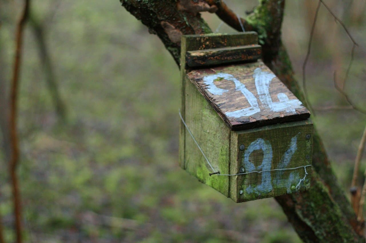 Warburg Nature Reserve