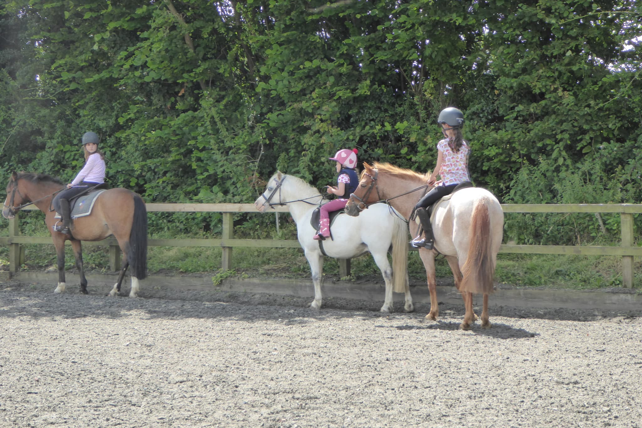 Pevlings Farm Riding and Livery Stables - Photo