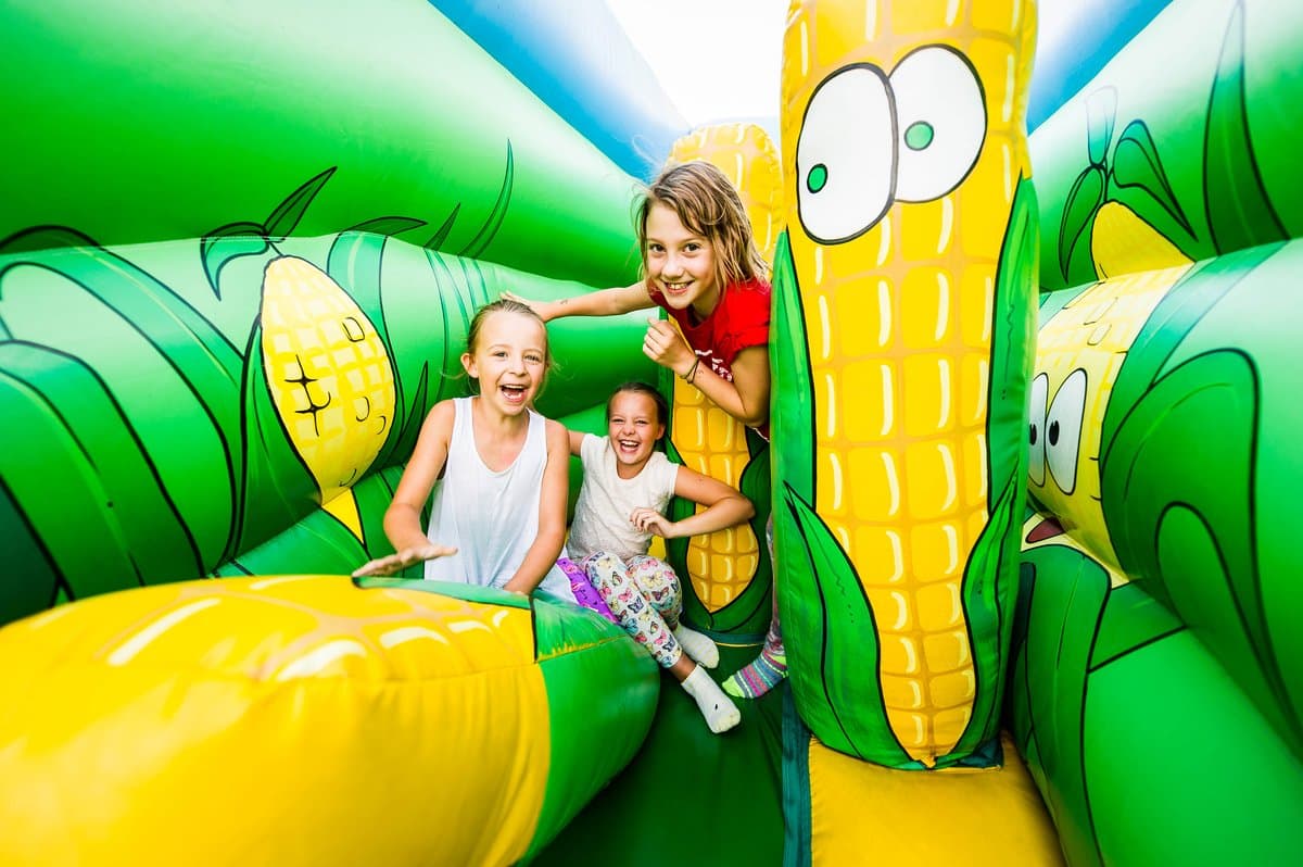 York Maze - Photo