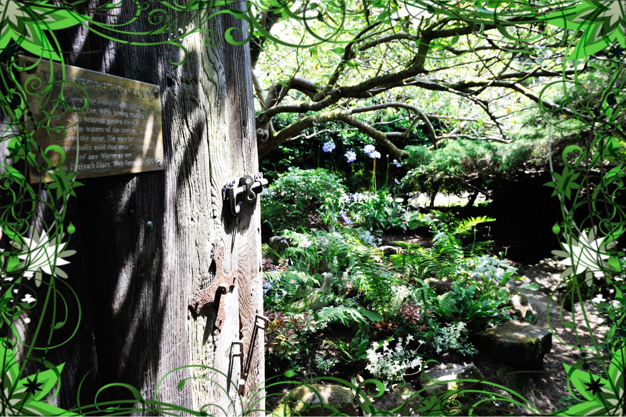 Groombridge Enchanted Forest - Photo