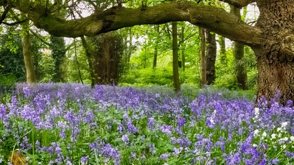 Rufford Old Hall