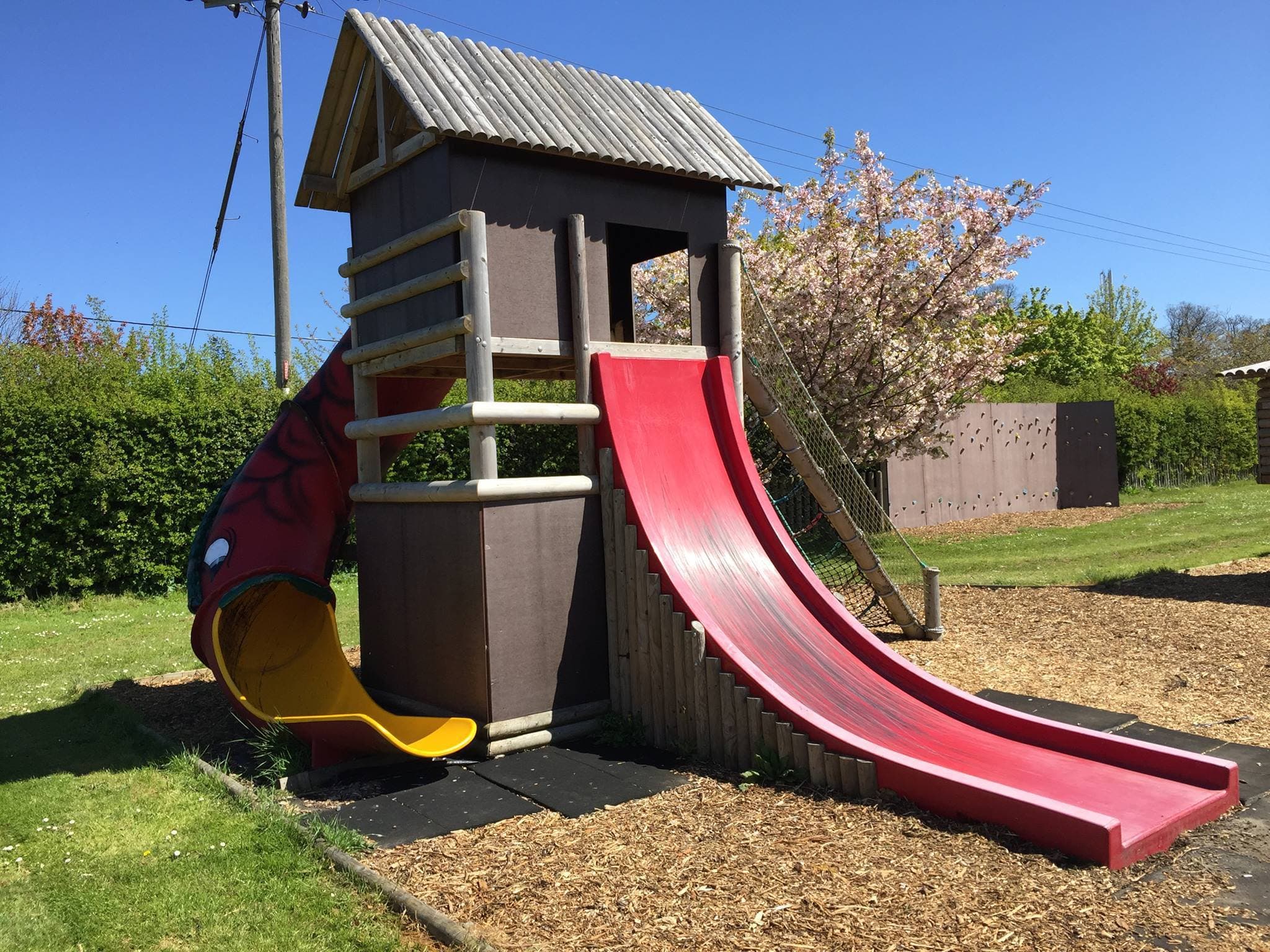 Jungle Jims Birchington - Photo