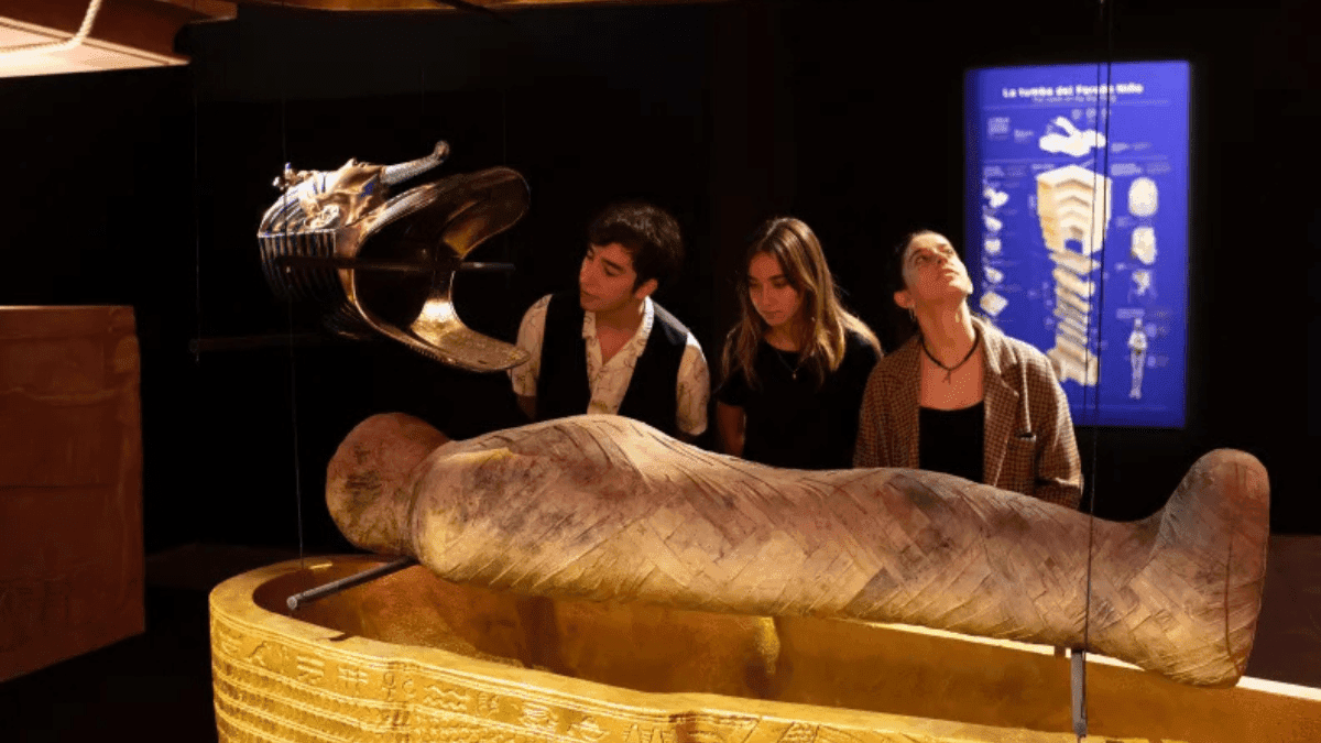 Tutankhamun: The Immersive Exhibition - Photo