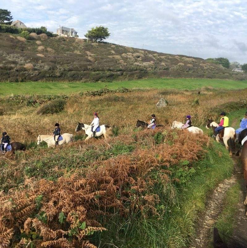 Newton Equestrian - Photo 1