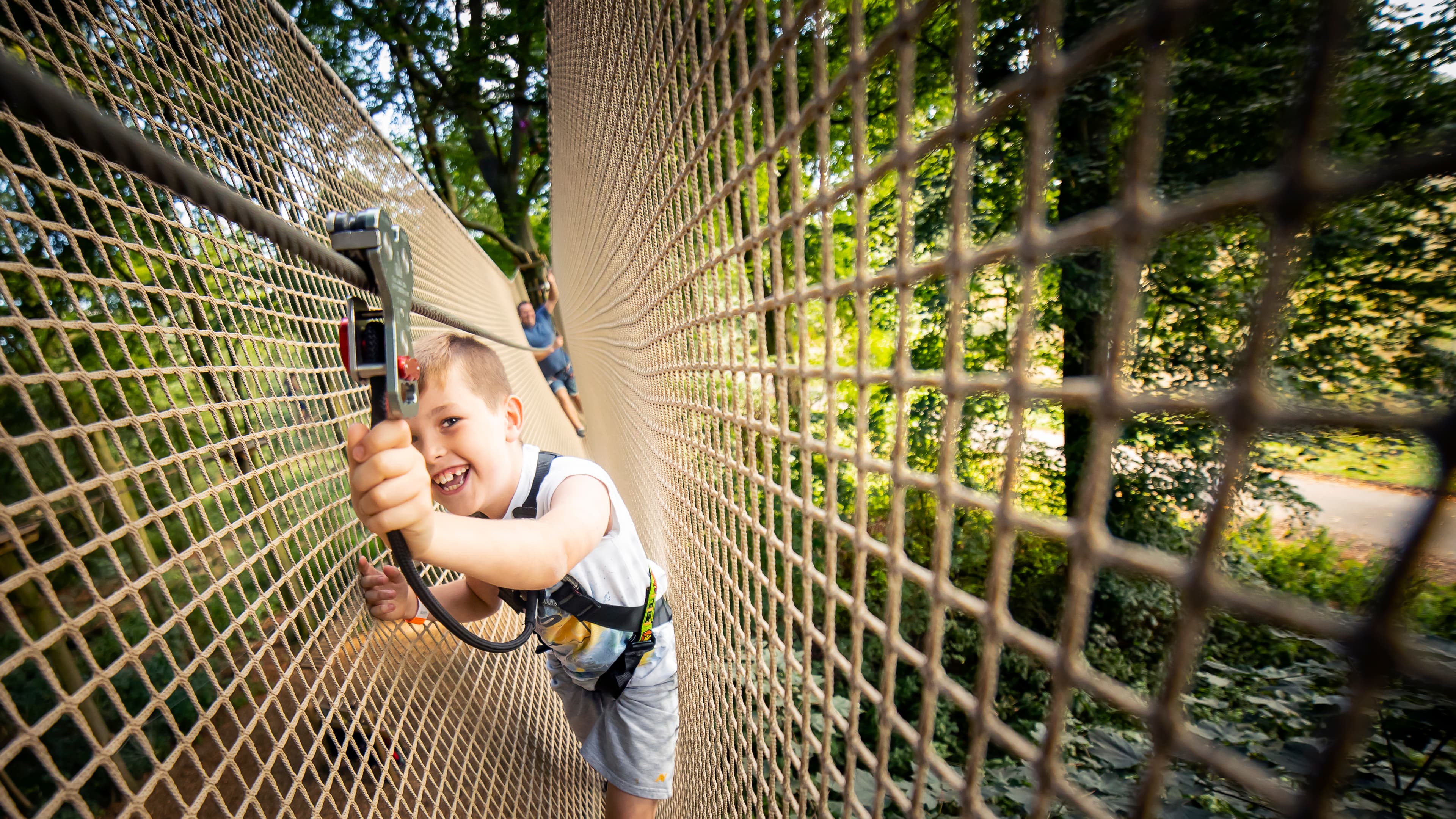 Go Ape Normanby Hall - Photo