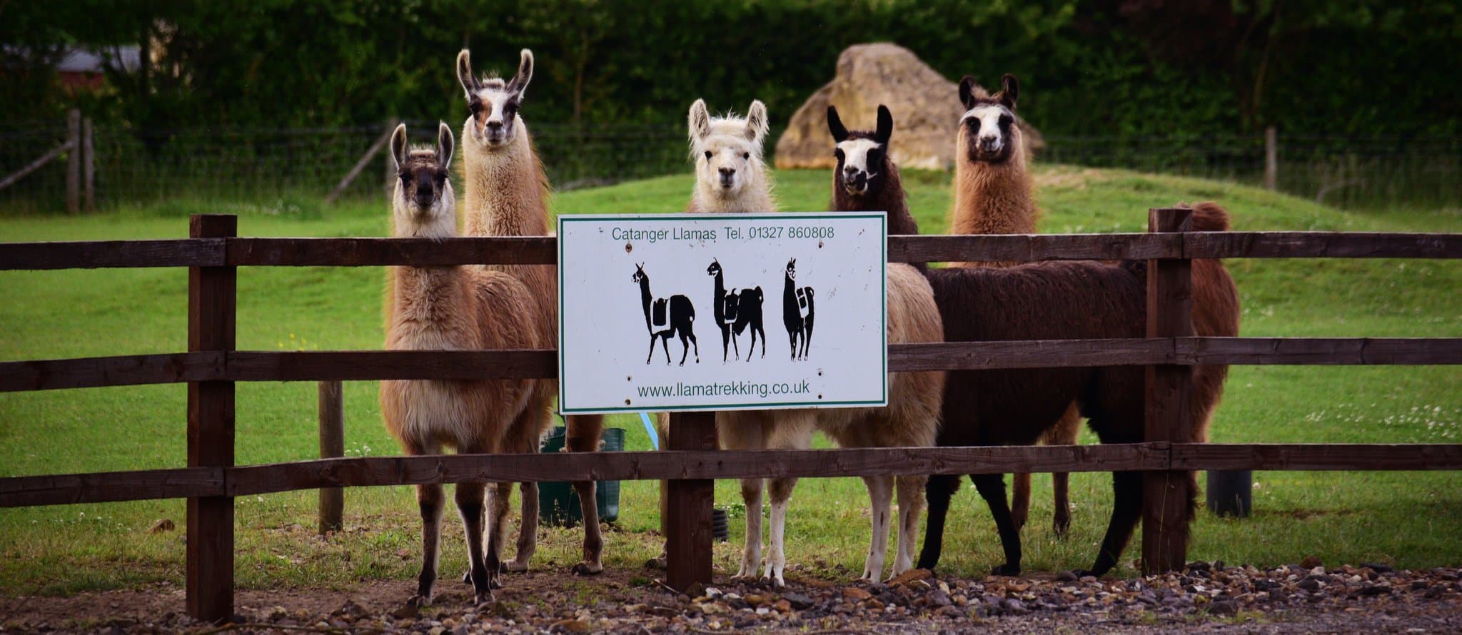 Catanger Llama Trekking - Photo