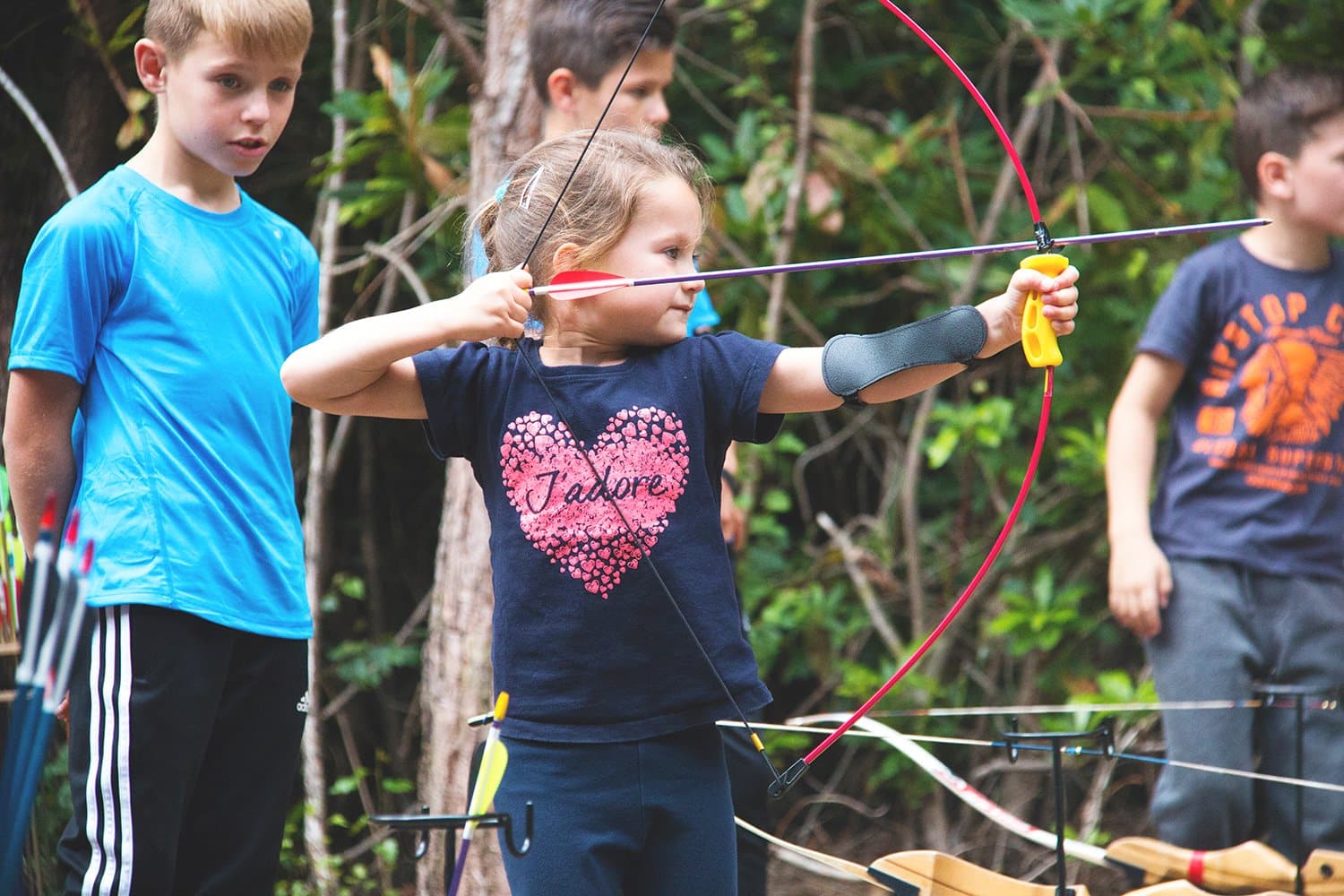 New Forest Activities - Photo