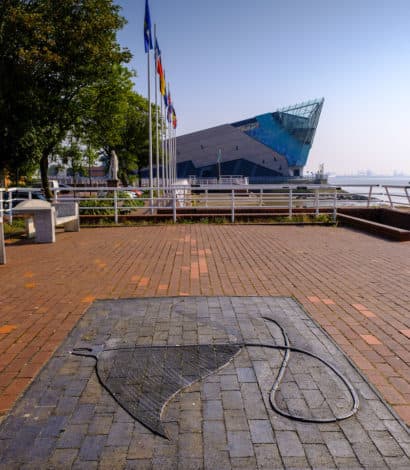 Seven Seas Fish Trail - Photo