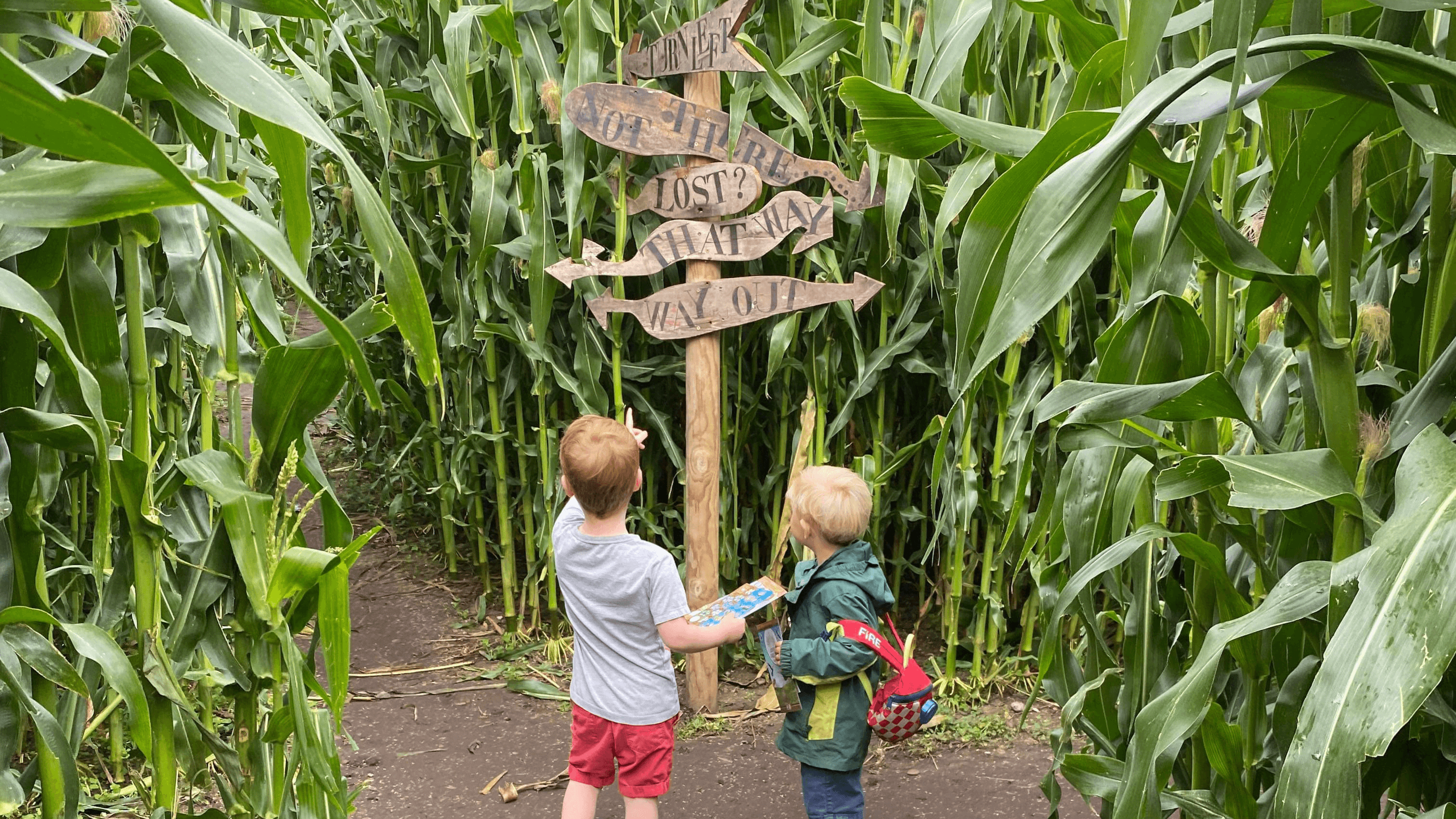Lichfield Maize Maze - Photo 1