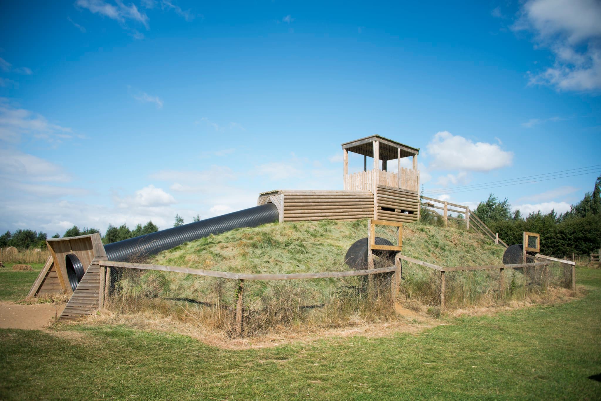 Pink Pig Farm - Photo