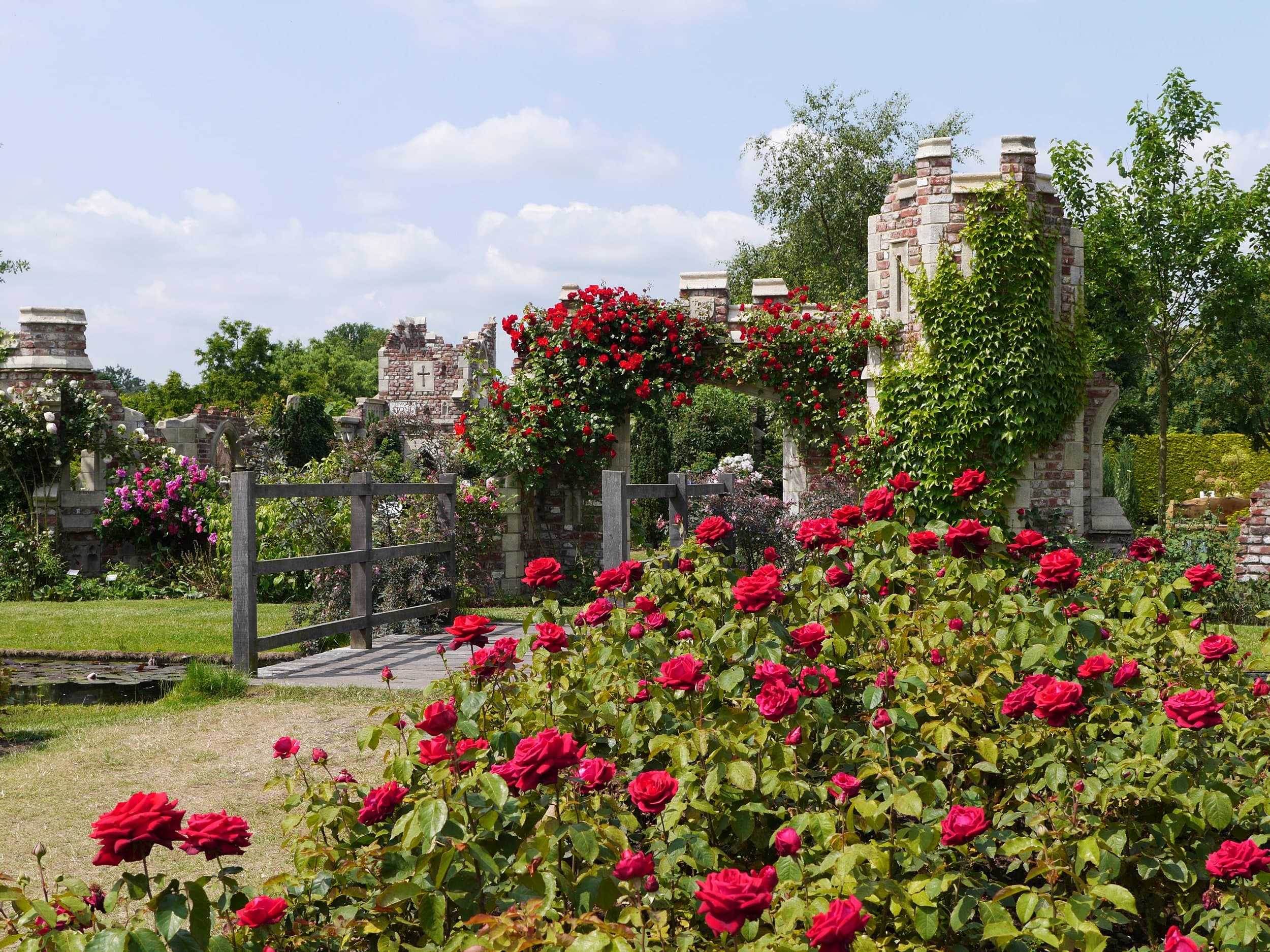 Capel Manor Gardens - Photo