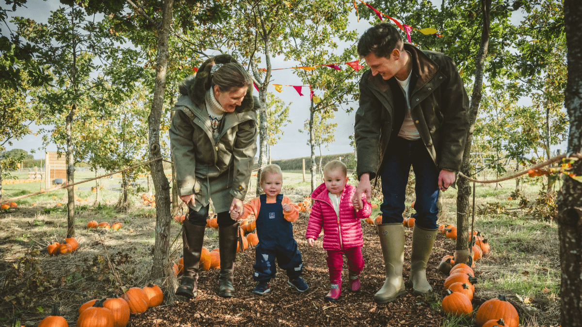 National Forest Adventure Farm - Photo